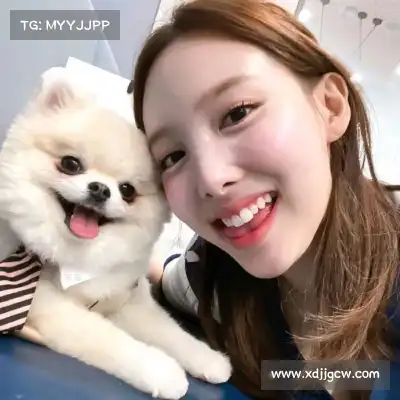 苗赛想